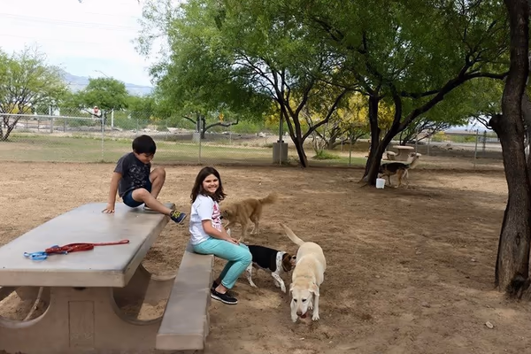 Dog Park at Brandi Fenton Memorial Park